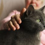 4 Key Benefits of Companion Pets for Aging Adults