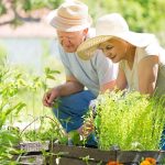 The Best Activities for Seniors This Spring