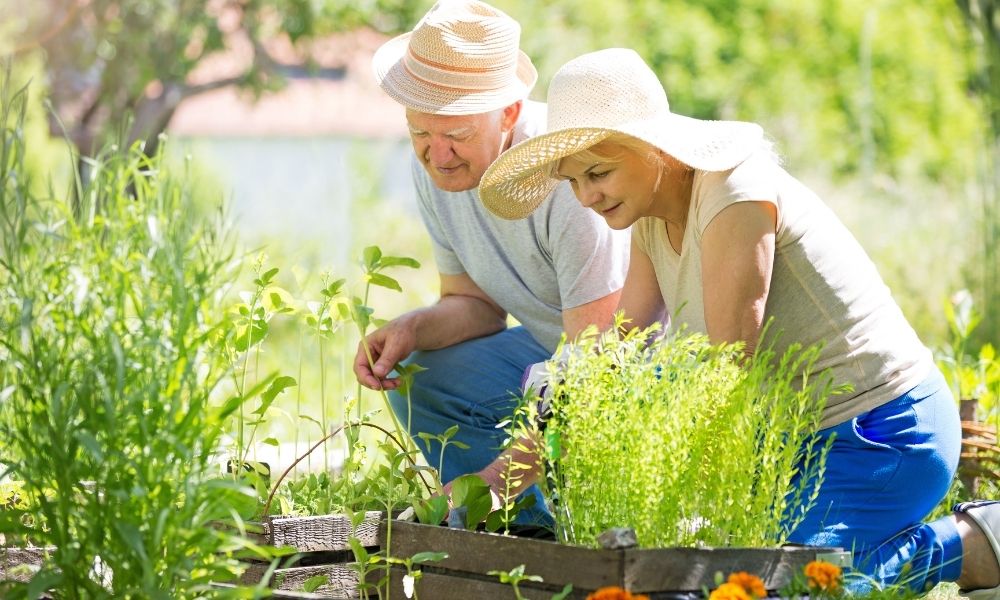 The Best Activities for Seniors This Spring