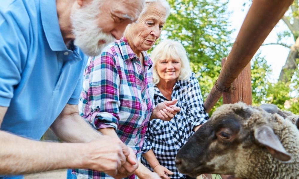 Tips for Helping Older Adults Deal With Depression